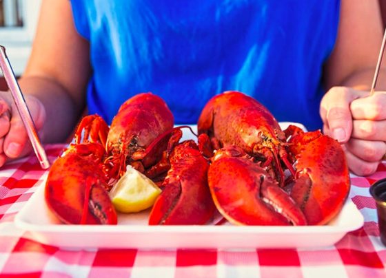 6-things-to-do-in-ogunquit,-maine—from-seafood-eateries-to-scenic-walks