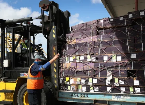 de-minimis’-end:-how-shippers-are-adapting-for-peak-season-and-beyond