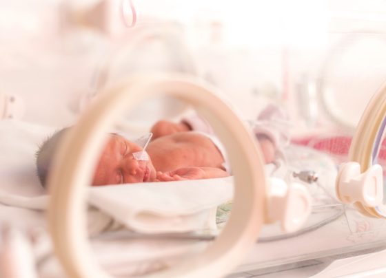 probiotic-supplementation-in-very-low-birth-weight-preterm-infants-lowers-gut-antibiotic-resistance