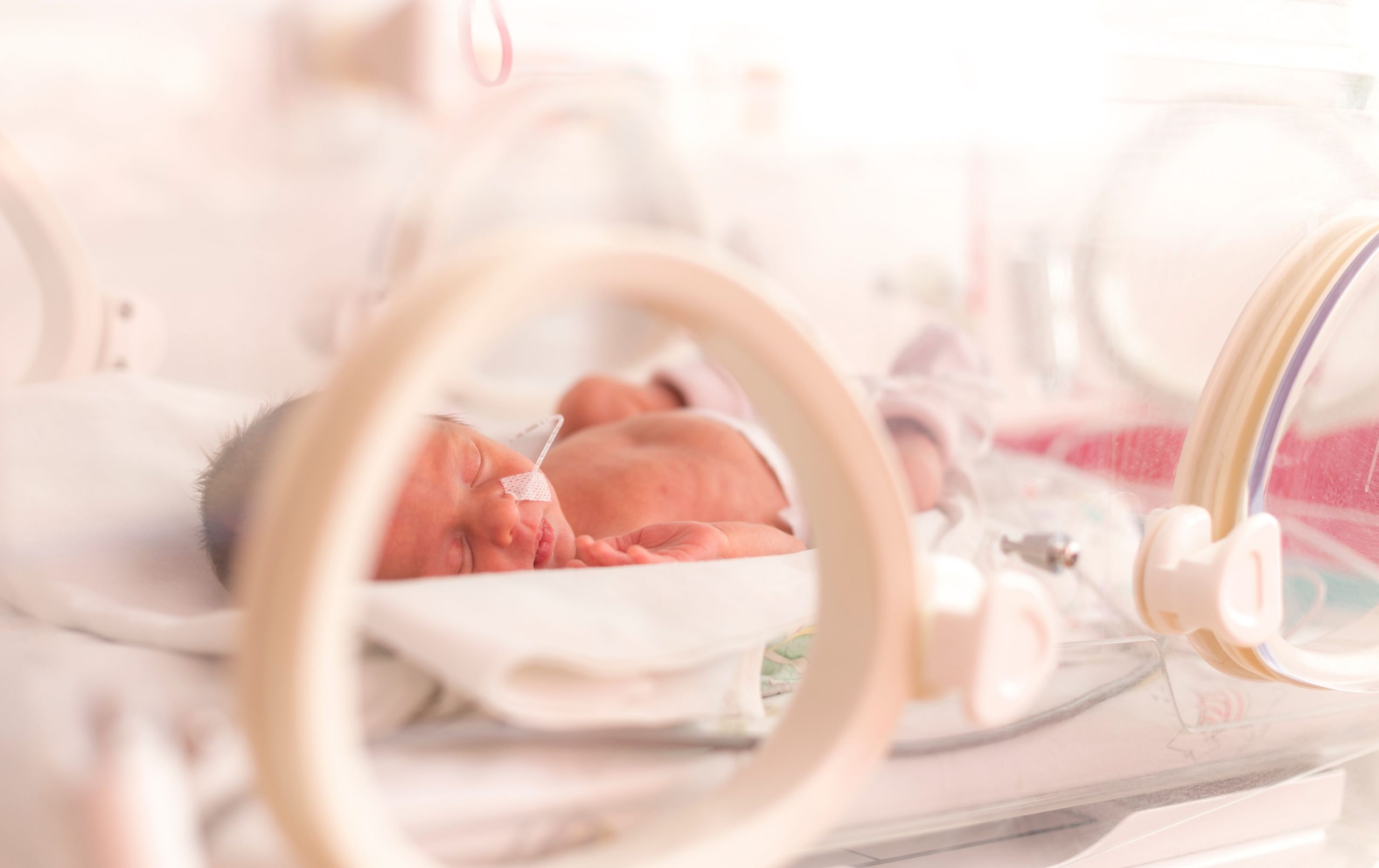 Probiotic Supplementation in Very-Low-Birth-Weight Preterm Infants Lowers Gut Antibiotic Resistance
