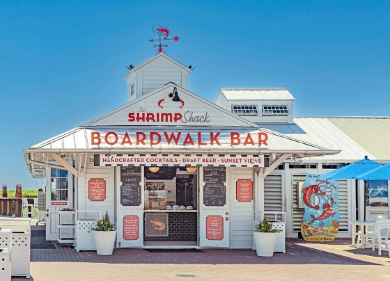 6-things-to-do-in-seaside,-florida—from-beach-volleyball-to-seafood