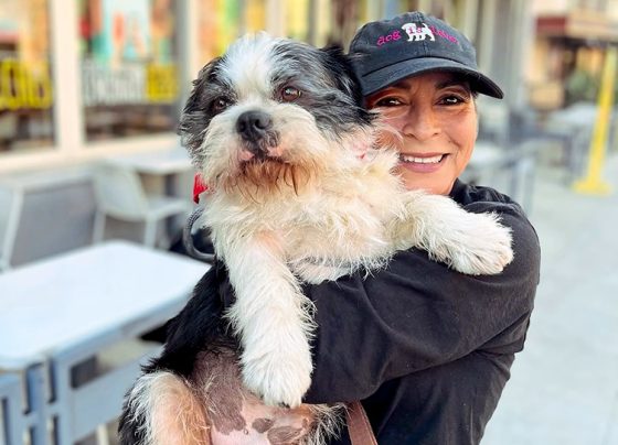 ‘call-babs!’-she-finds-lost-dogs-when-everyone-else-gives-up