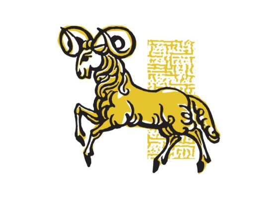 your-2025-virgo-season-horoscope:-get-ready-for-a-practical-yet-magical-shake-up