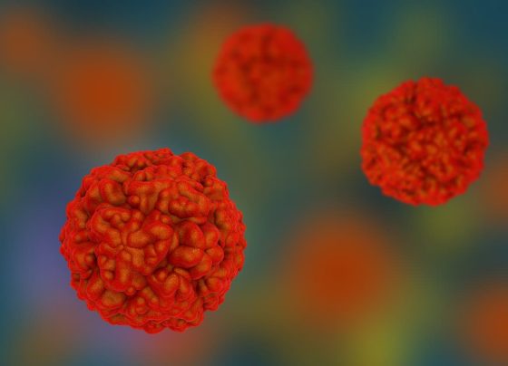 common-cold-linked-to-reduced-risk-of-covid-19-infection