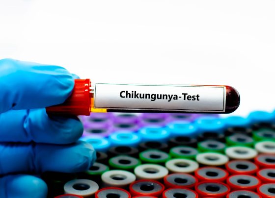 fda-suspends-licensing-of-ixchiq-chikungunya-vaccine-amid-safety-concerns
