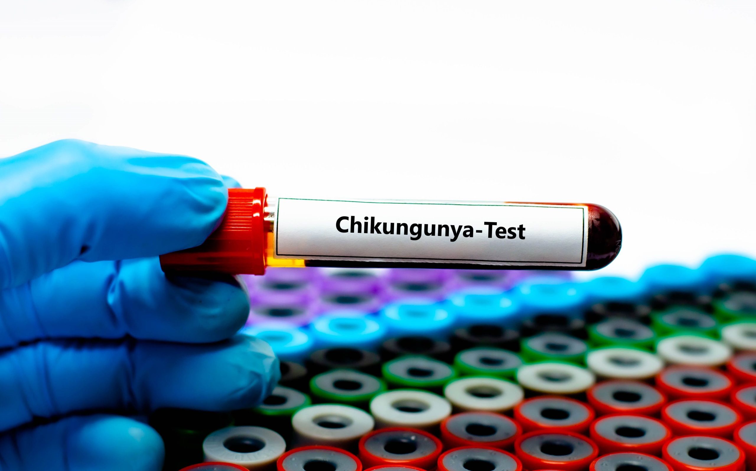 FDA Suspends Licensing of Ixchiq Chikungunya Vaccine Amid Safety Concerns