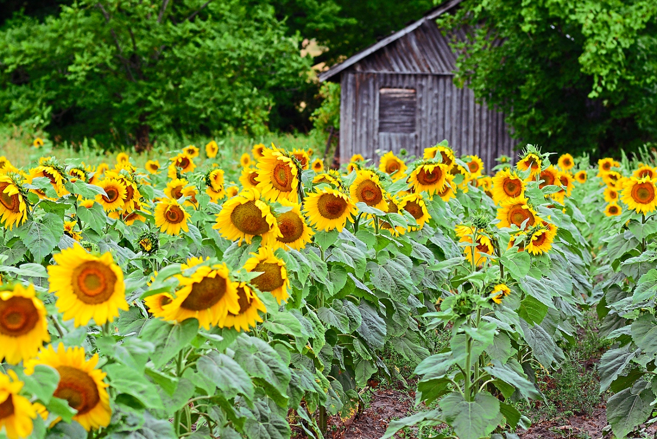 6-things-to-do-in-traverse-city,-mich—lighthouses-to-wineries