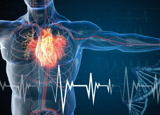 updated-diabetes-guidelines-prioritize-sglt-2-and-glp-1-medications-to-reduce-cardiovascular,-kidney-risk