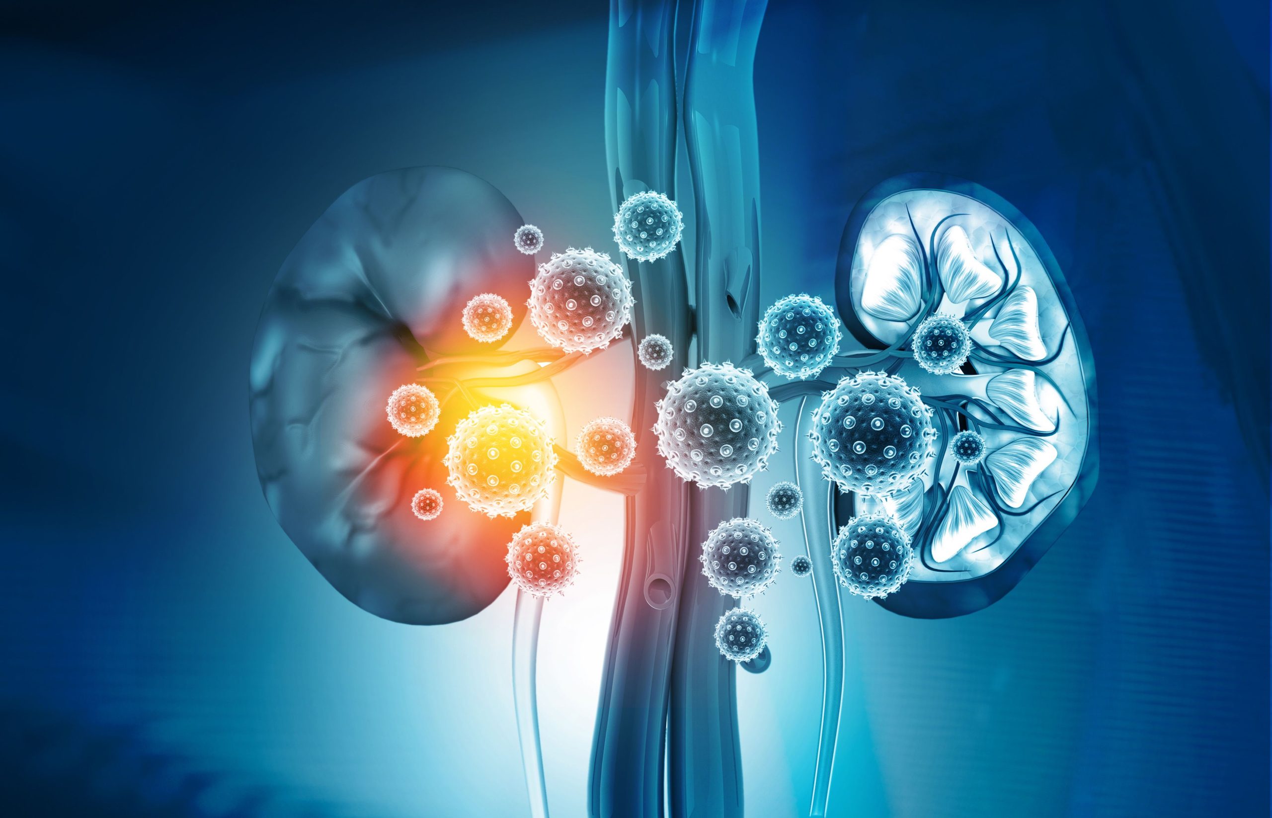 Mitochondria-Targeted Therapies May Transform Acute Kidney Injury Treatment