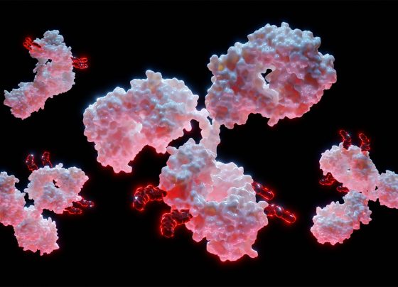 patritumab-deruxtecan-meets-primary-end-point-in-icarus-breast01-trial