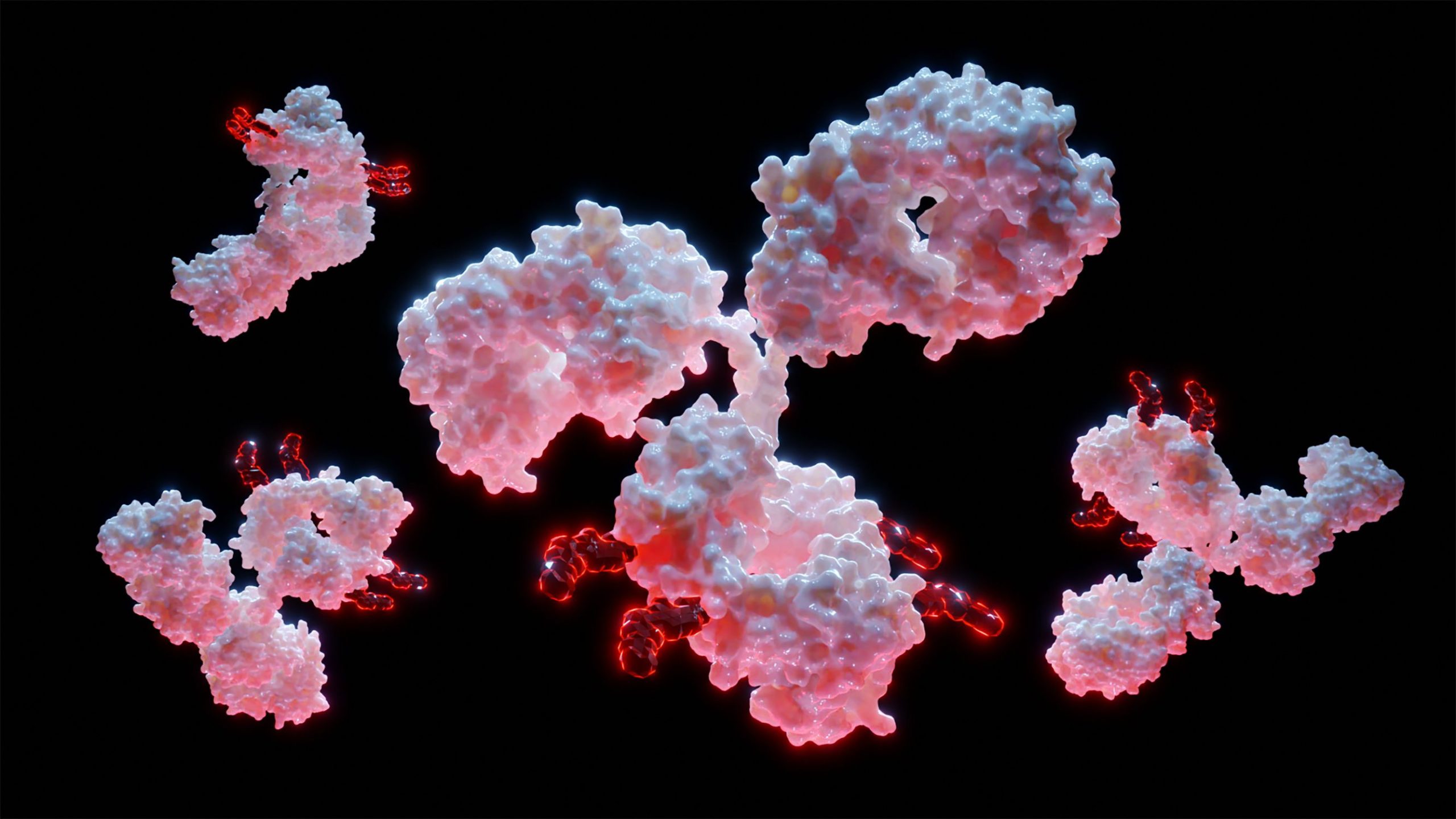 Patritumab Deruxtecan Meets Primary End Point in ICARUS-BREAST01 Trial