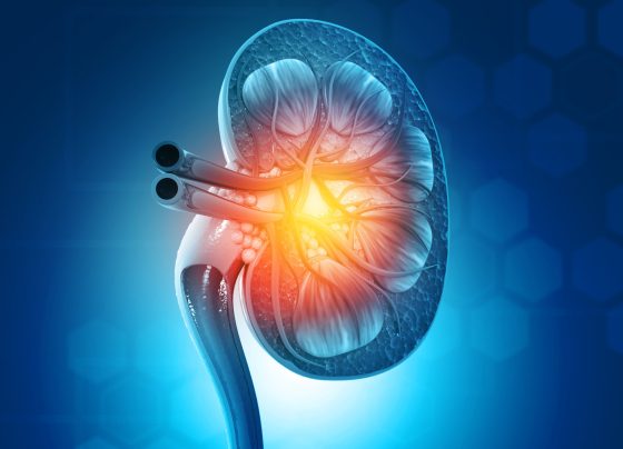 increased-heart-failure-,-cardiovascular-related-mortality-common-among-patients-with-ckd