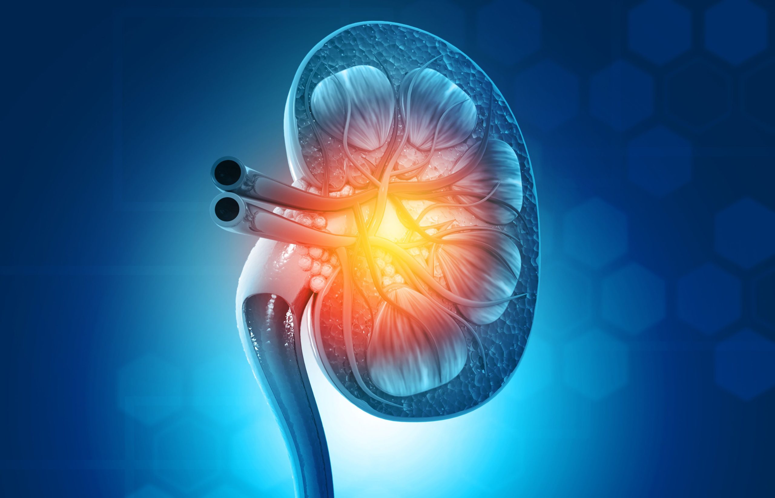 Increased Heart Failure-, Cardiovascular-Related Mortality Common Among Patients With CKD