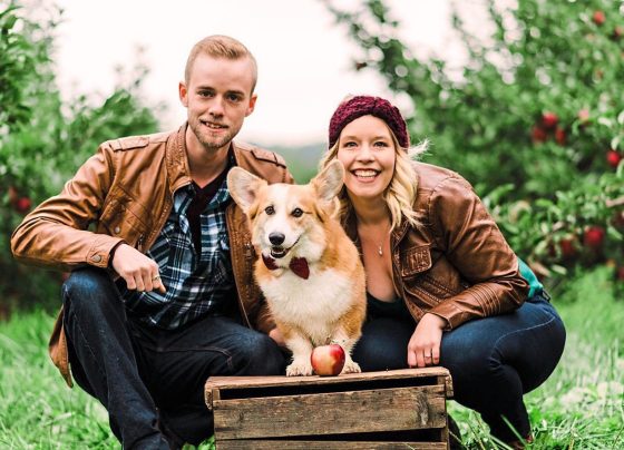 hero-dog-alerts-help-after-owner’s-terrifying-fall