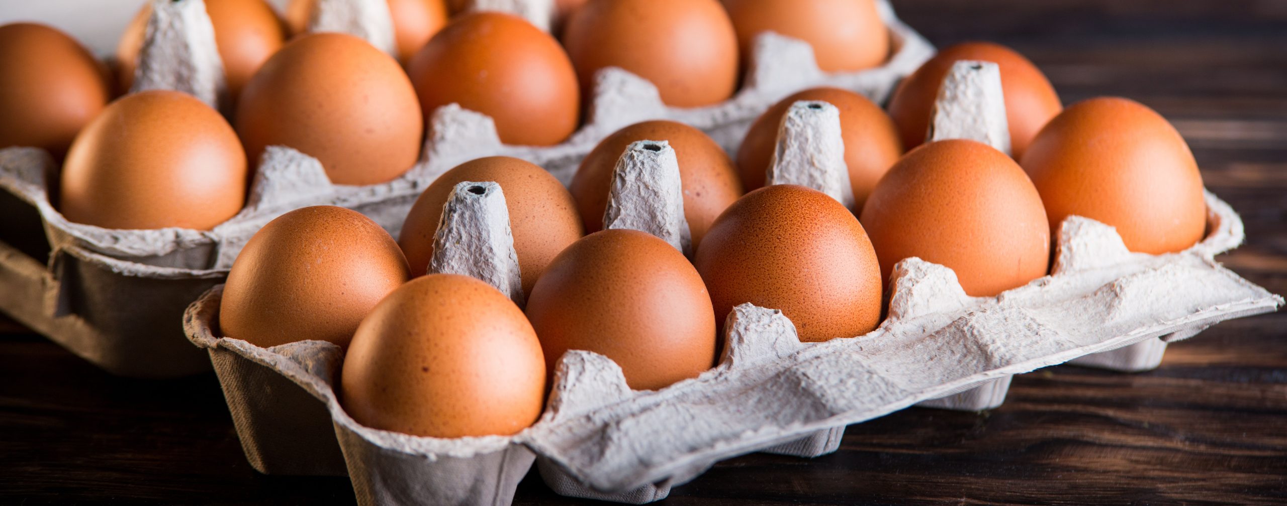 <![CDATA[Fun Fact: Researchers Crack the Myth of High Cholesterol and Eggs]]>