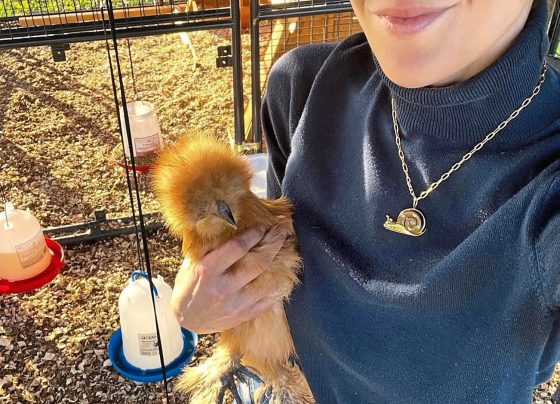 after-her-chickens-eased-her-anxiety,-this-texas-woman-turned-their-magic-into-a-healing-mission