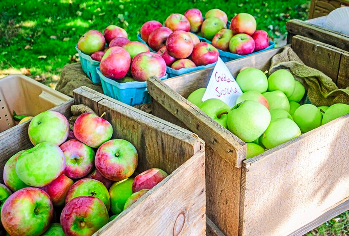 6 Must-Do Activities in Providence, Rhode Island This Autumn