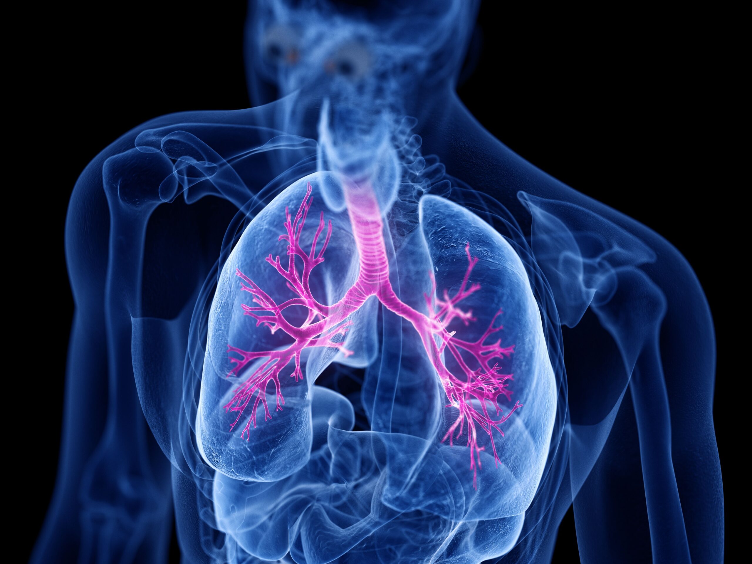 <![CDATA[Study: Increased Serum cAMP Levels Observed in Patients With Asthma ]]>