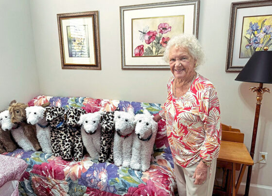 90-year-old-seamstress-sews-plush-dogs-for-sick-kids