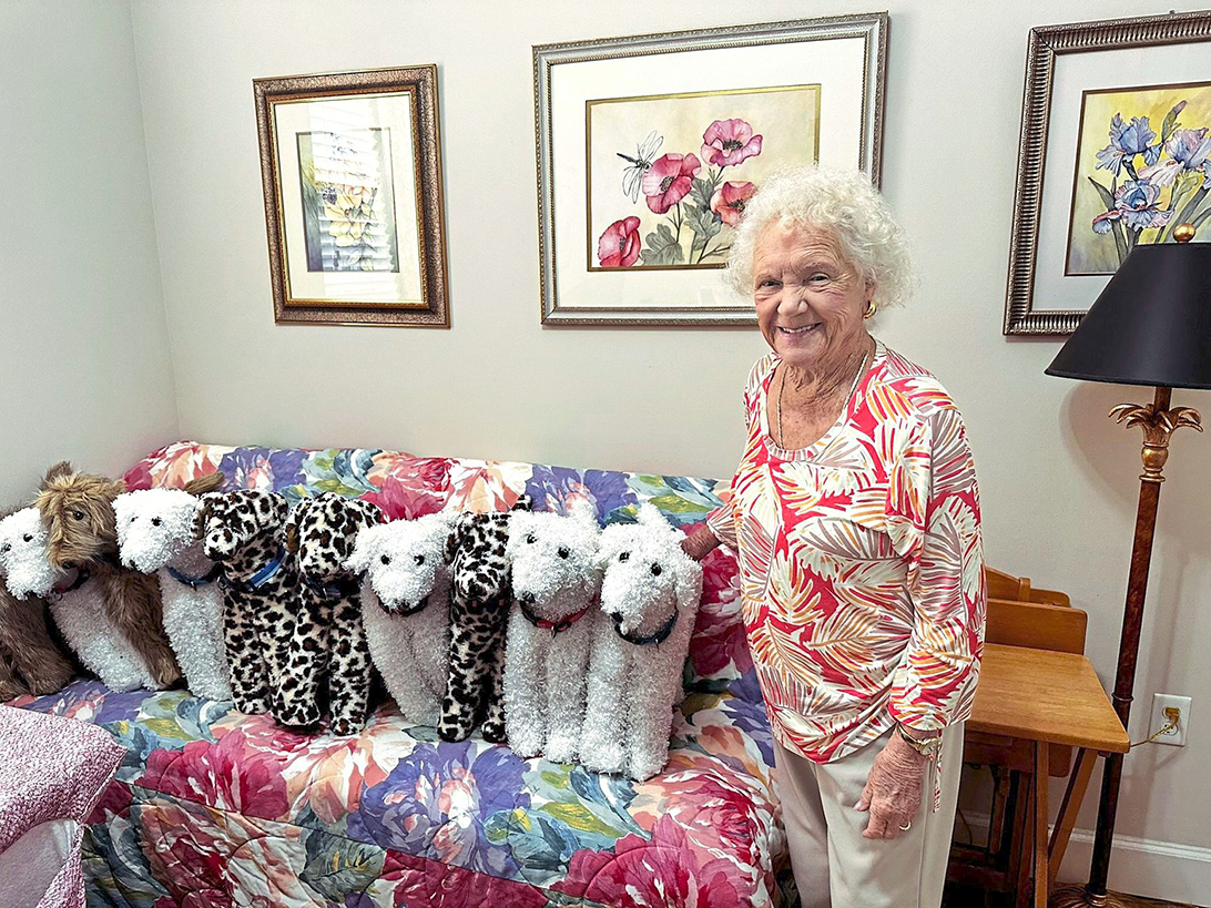 90-Year-Old Seamstress Sews Plush Dogs for Sick Kids