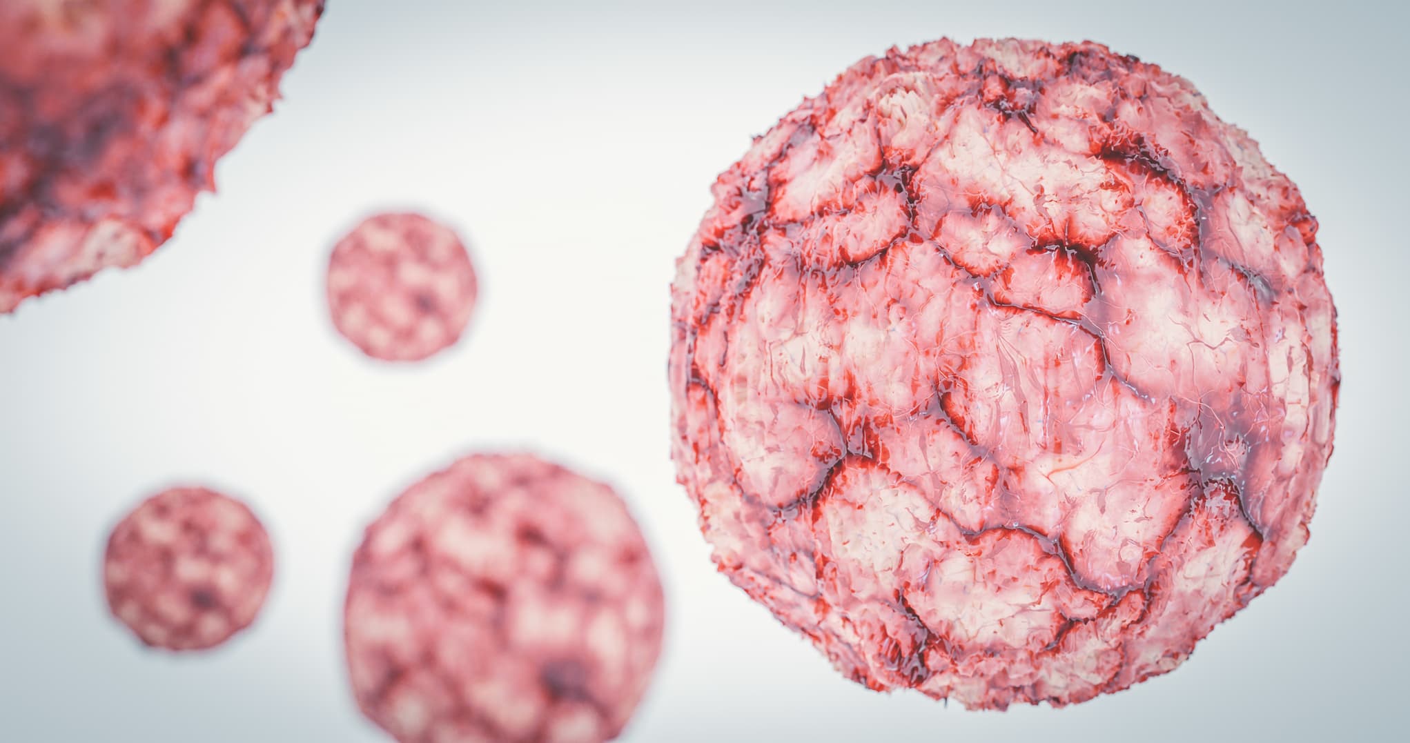 <![CDATA[Two Doses of PCV20 in Lymphoma Survivors Elicits Greater Humoral Response]]>