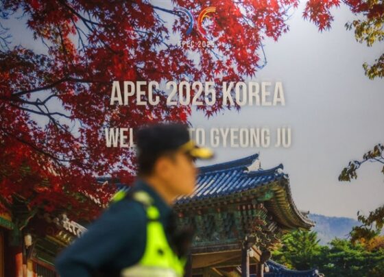 sk-chair-hosts-largest-apec-ceo-summit,-paving-way-for-nvidia-ceo’s-return-after-15-years