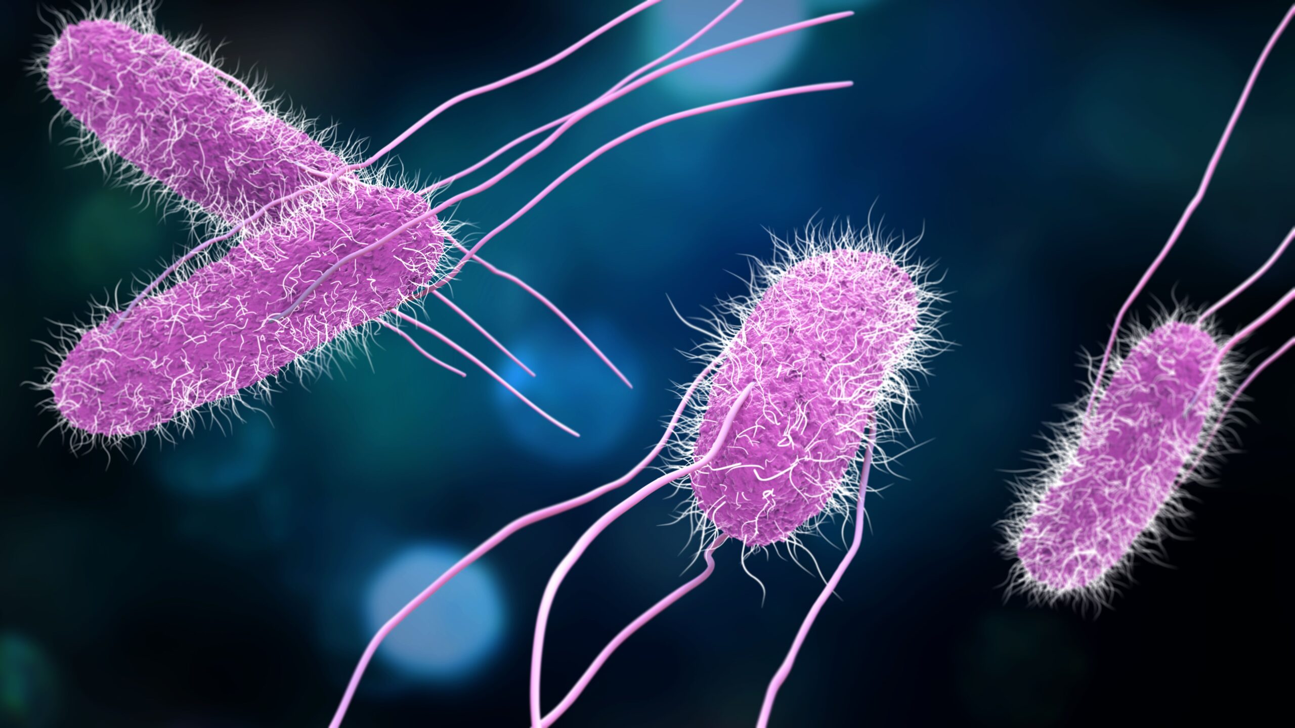 <![CDATA[Experimental Vaccine Shows 73% Efficacy Against Salmonella Paratyphi A]]>