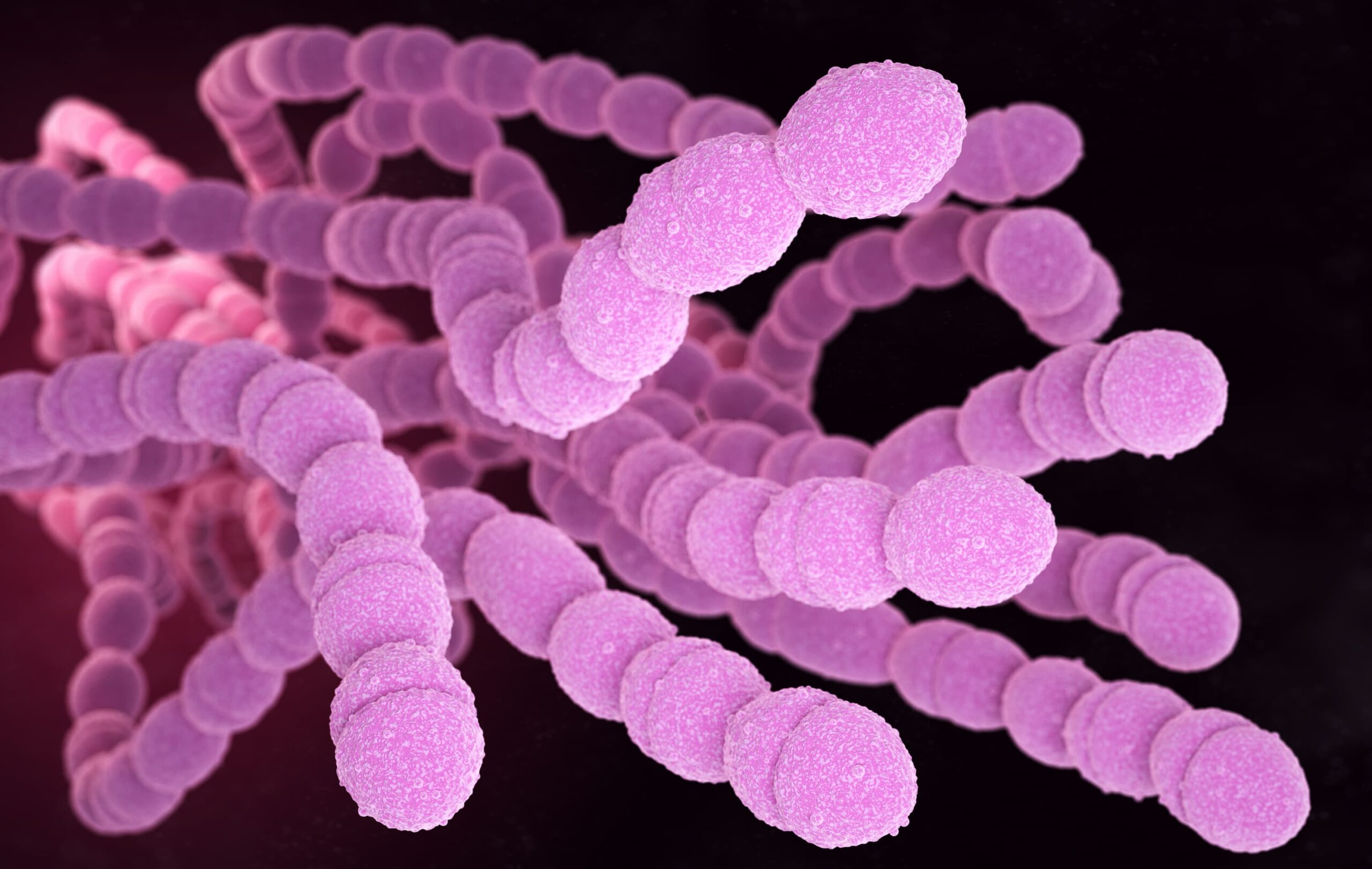 <![CDATA[PCV21-Unique Serotypes Most Prevalent in US Adults With Pneumococcal Disease]]>