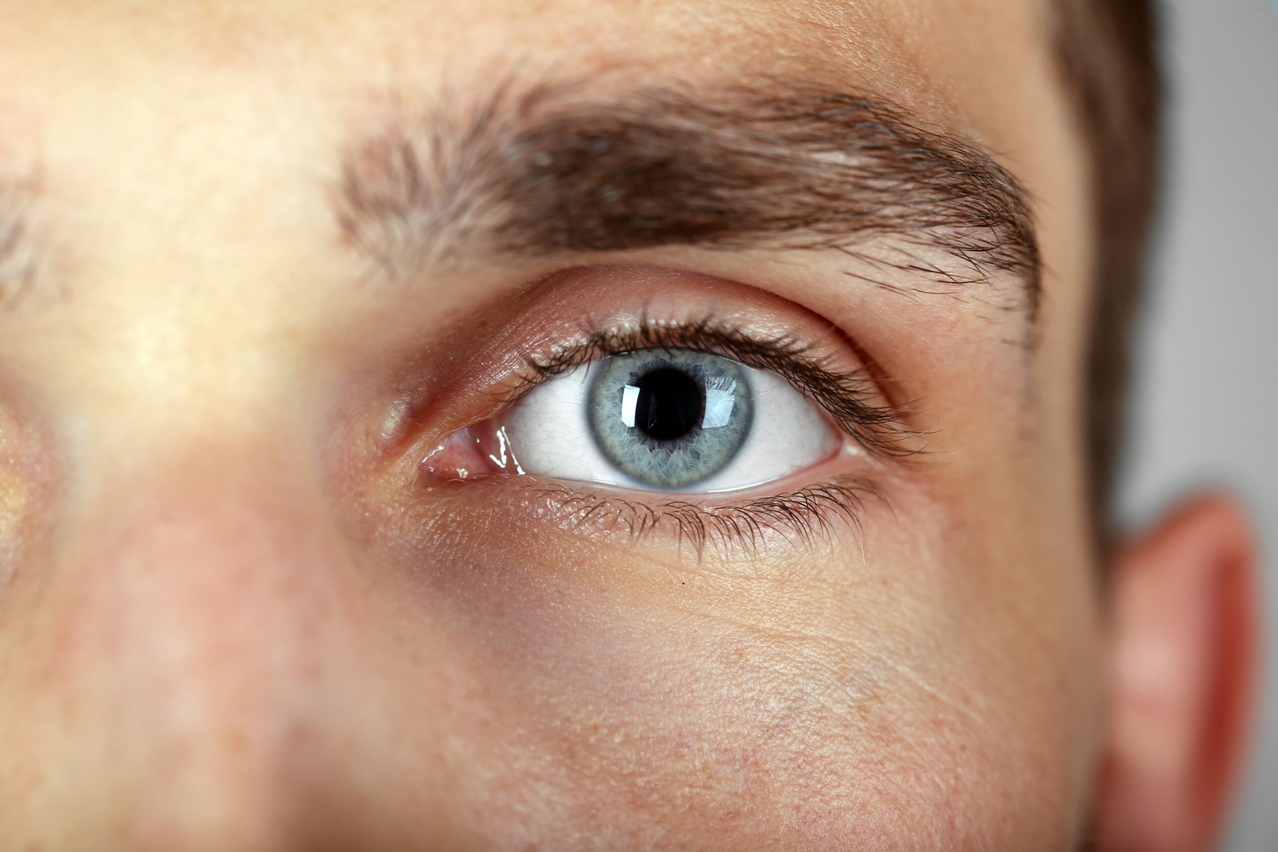 <![CDATA[Ranibizumab Biosimilar Demonstrates Noninferiority to Innovator Counterpart Treating Myopic CNVM]]>