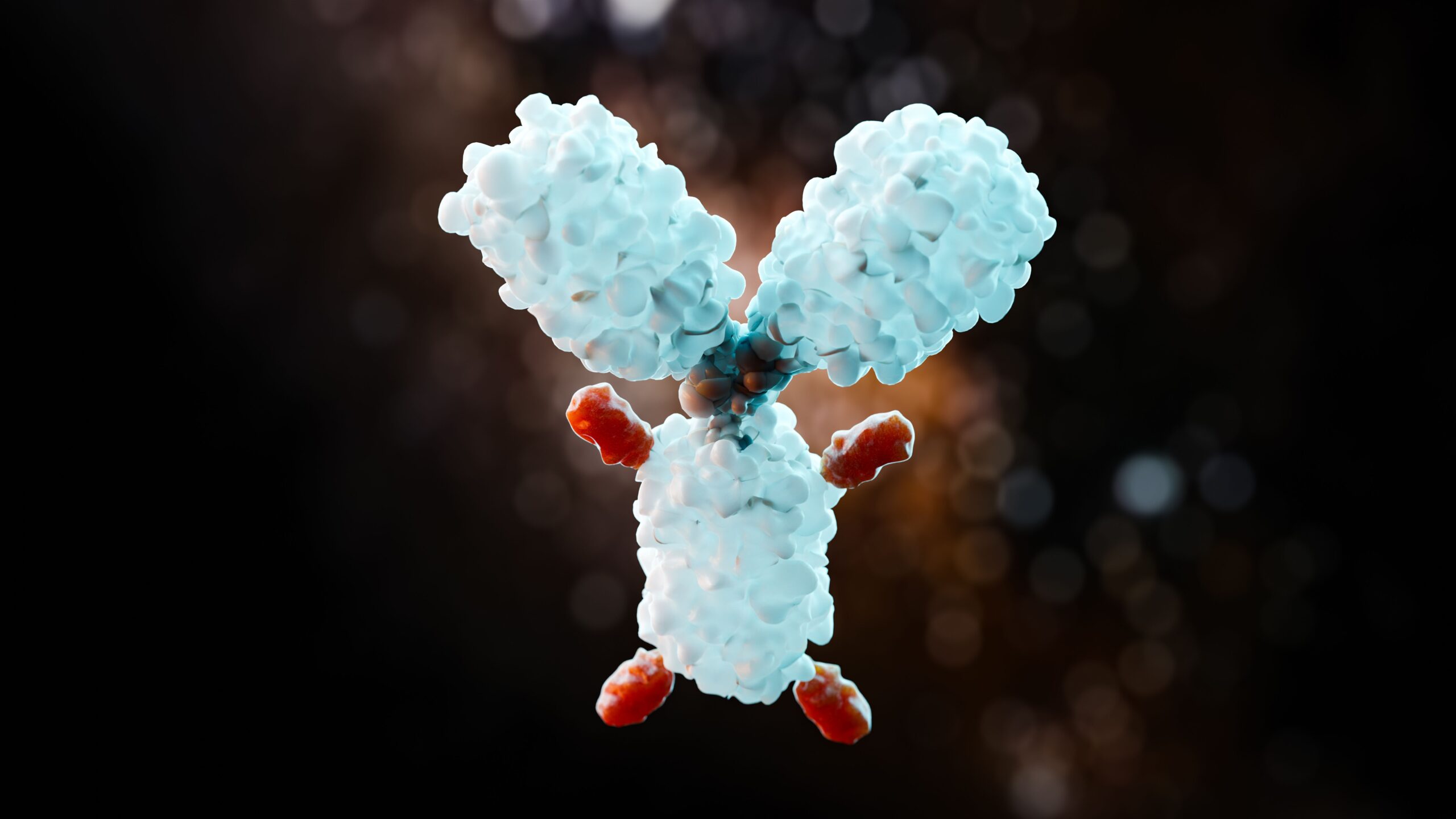<![CDATA[SHR-A1811 Demonstrates Promising Efficacy and Safety in Neoadjuvant HER2+ Breast Cancer]]>