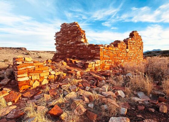 5-awesome-things-to-do-in-flagstaff,-arizona-this-fall-that’ll-make-you-love-this-mountain-town