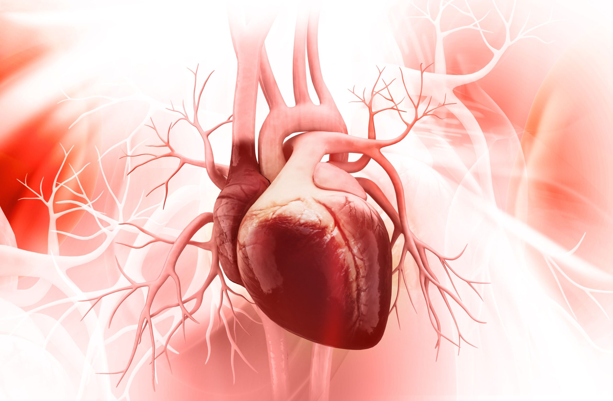 <![CDATA[Targeting Mitochondrial Metabolism in Heart Failure: From Genetic Drivers to Fuel Modulation Therapies]]>