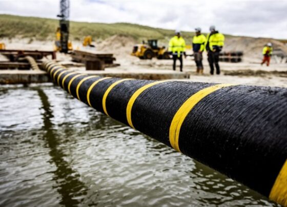 walsin-lihwa-eyes-offshore-wind-and-ai-infrastructure-with-kaohsiung-submarine-cable-plant