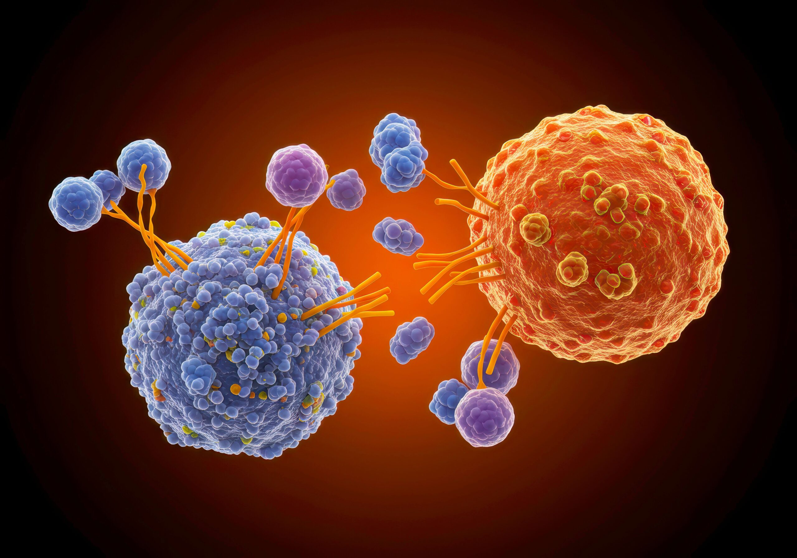 <![CDATA[Immune Synergy May Explain Why Some Patients Achieve Durable Remission With Cilta-Cel]]>