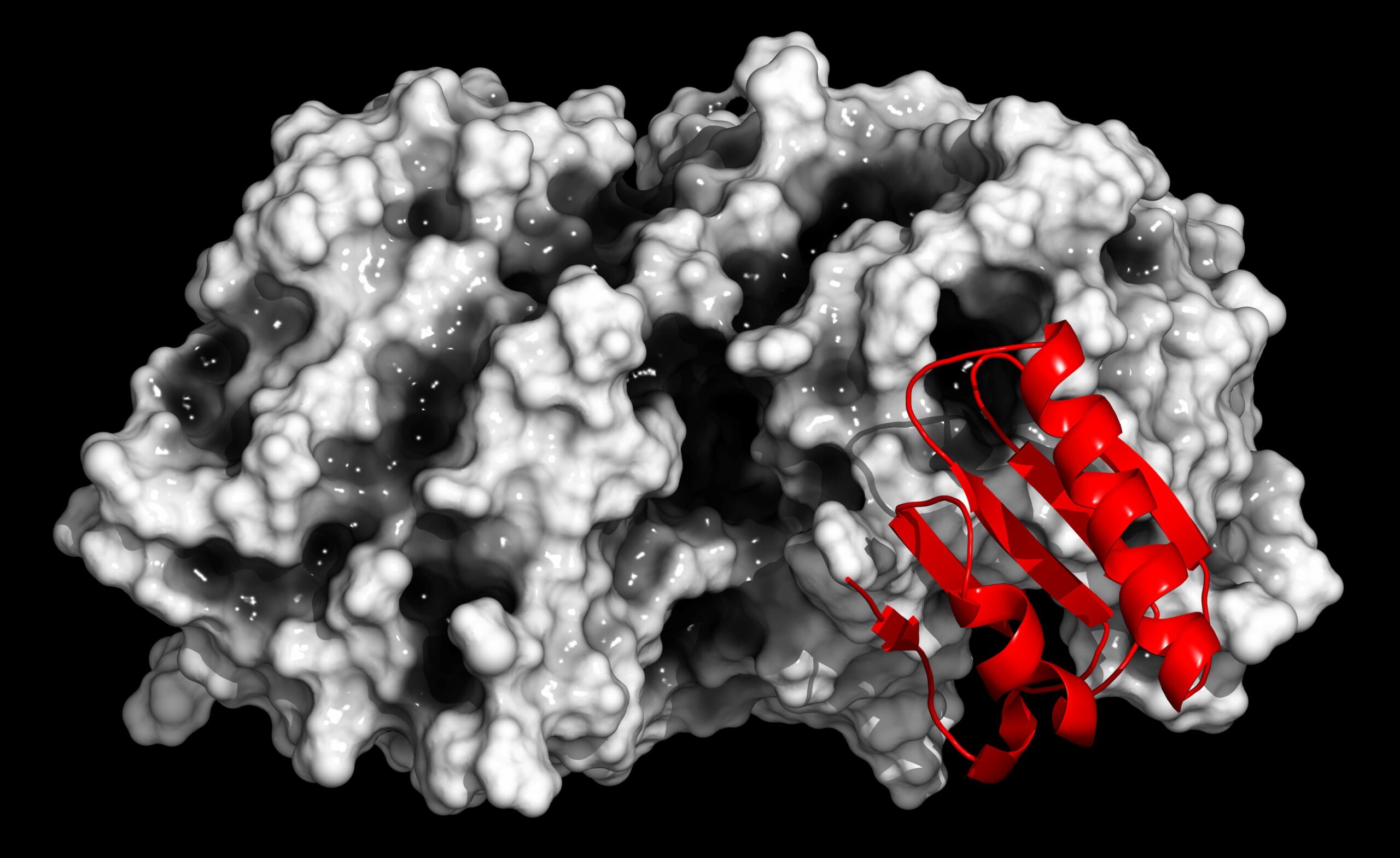<![CDATA[New Enlicitide Decanoate Data Show Significant LDL-C Reductions in At-Risk Patients]]>