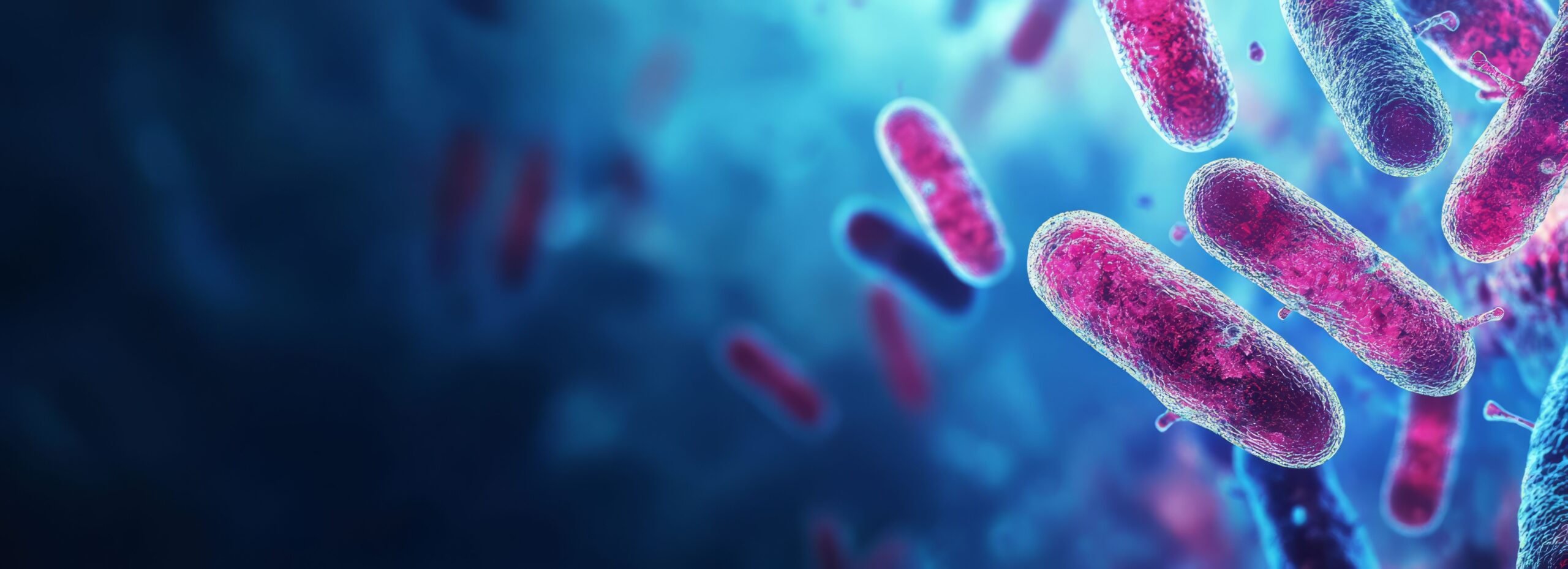 <![CDATA[Update on Novel Antimicrobials and Their Uses]]>