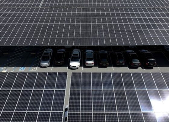 envision-group-evaluates-building-battery-plant-in-india-amid-energy-storage-market-optimism