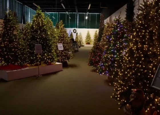 can-artificial-christmas-tree-companies-spruce-things-up-for-next-year?