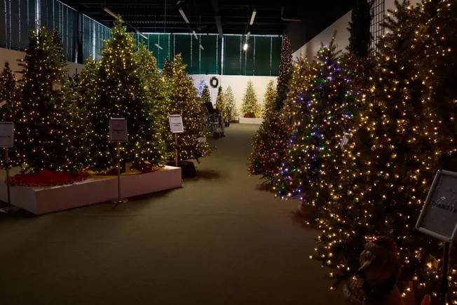 Can artificial Christmas tree companies spruce things up for next year?