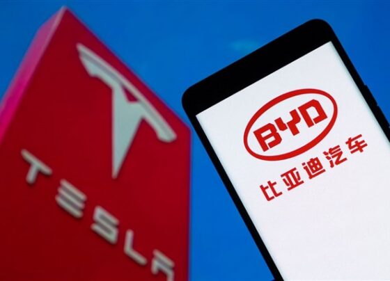tesla-and-byd-confront-slowing-sales-as-global-ev-momentum-falters