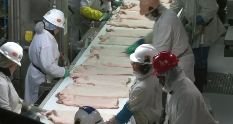 How Tyson is tackling tight beef, pork supplies