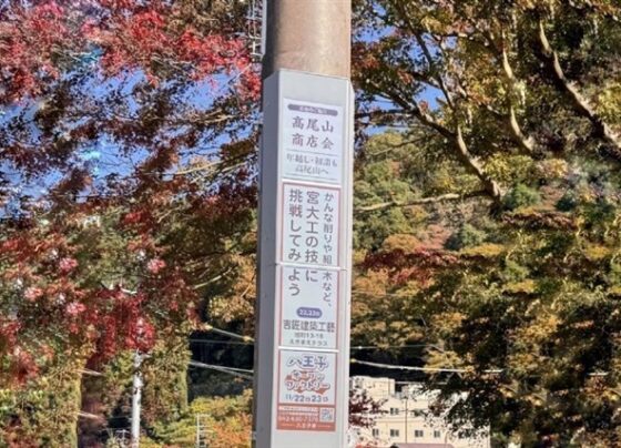 iris-optronics-debuts-full-color-electronic-paper-on-japanese-utility-poles