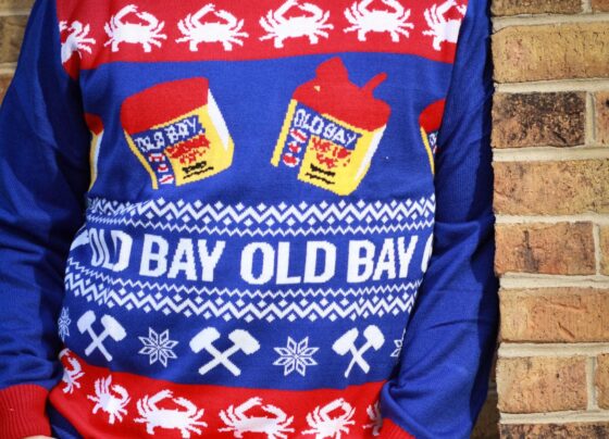 mccormick’s-holiday-sweaters-are-here—&-they’re-pure-christmas-magic!