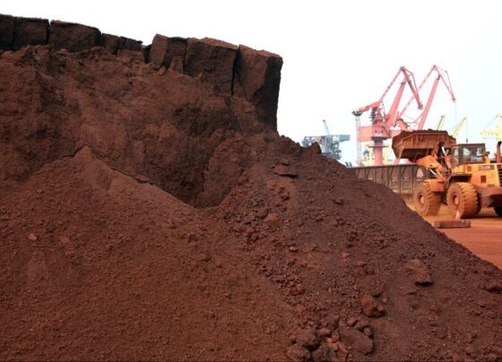 vietnam-slaps-new-export-curbs-on-rare-earth