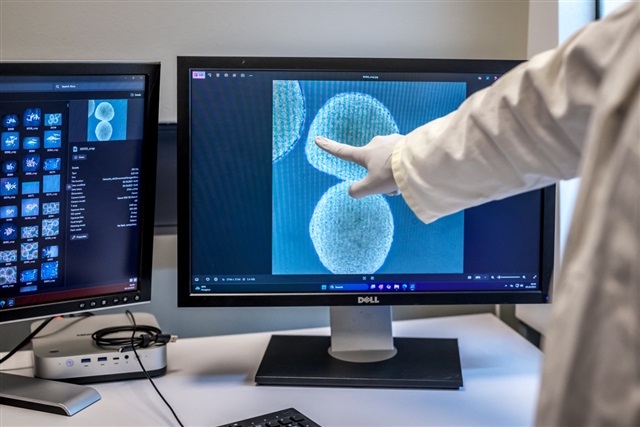 China taps MetaX GPUs to advance brain-inspired AI beyond big models
