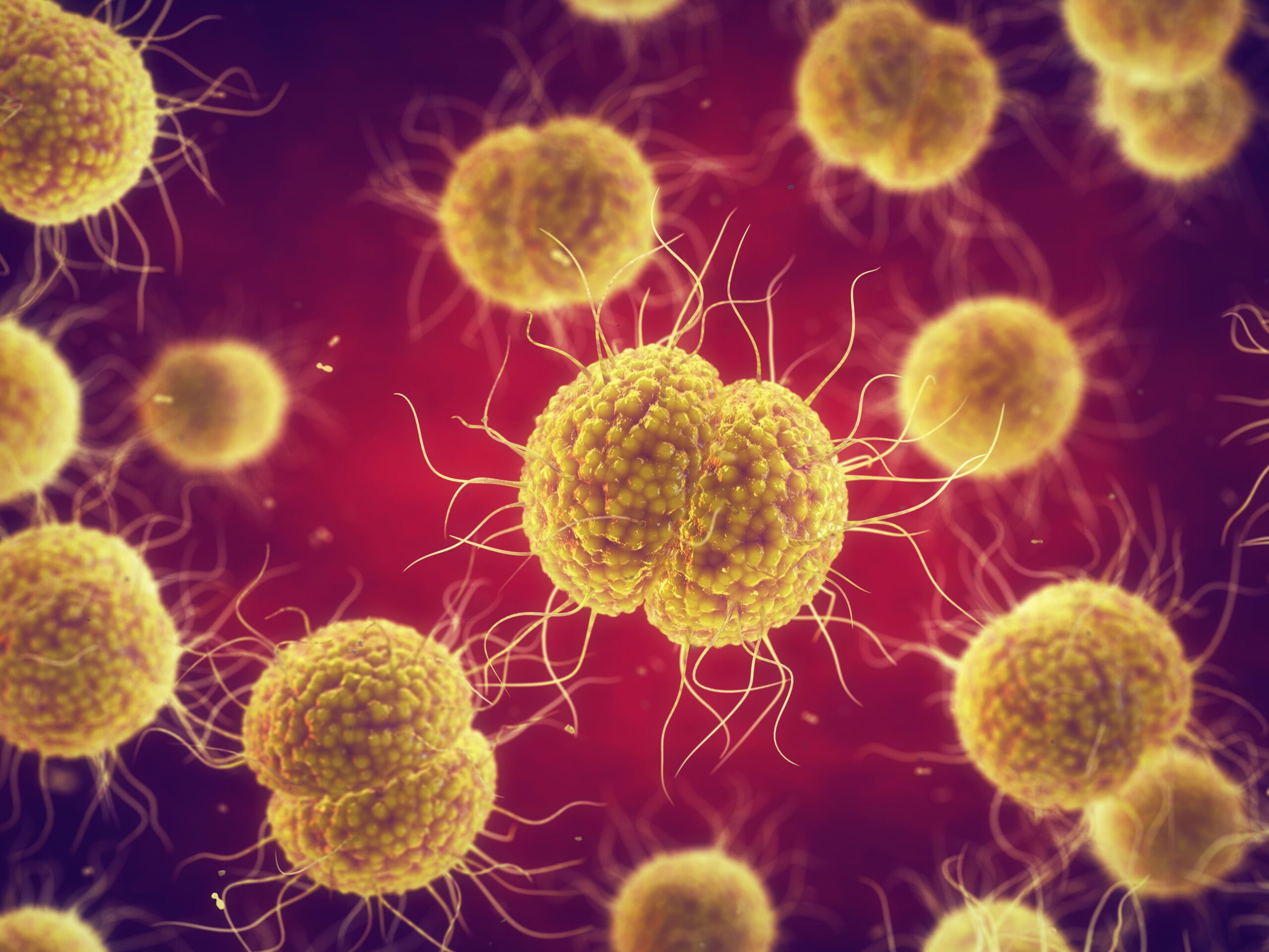 <![CDATA[FDA Approval of Zoliflodacin: A New Era in Gonorrhea Treatment]]>
