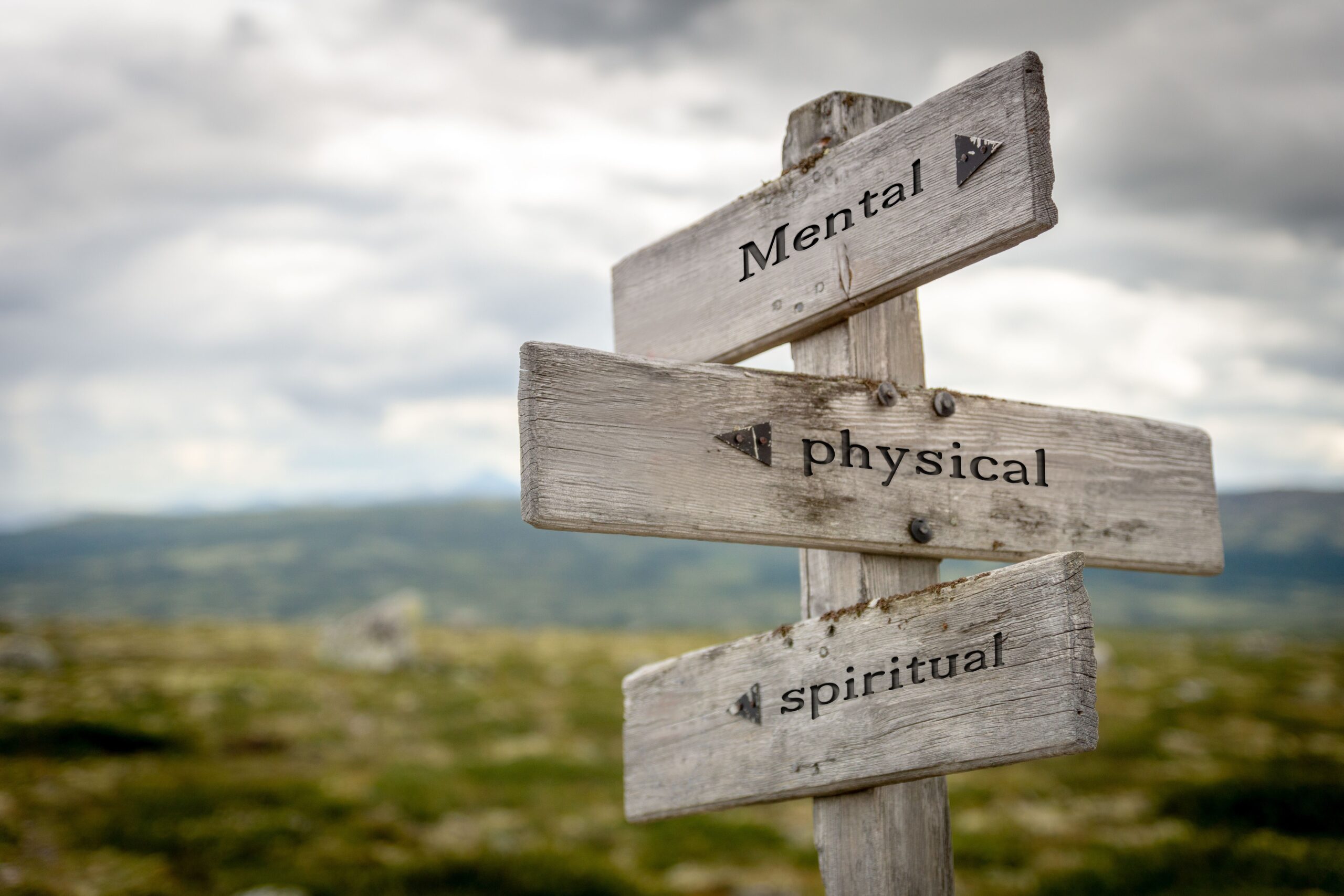 <![CDATA[Beyond Dispensing: A Palliative Care Pharmacist’s Experience With Integrated Spiritual Training]]>