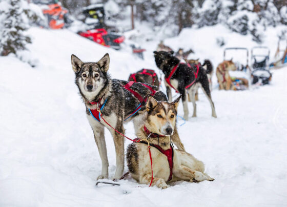 this-cozy-mountain-town-is-winter-2026’s-dream-getaway