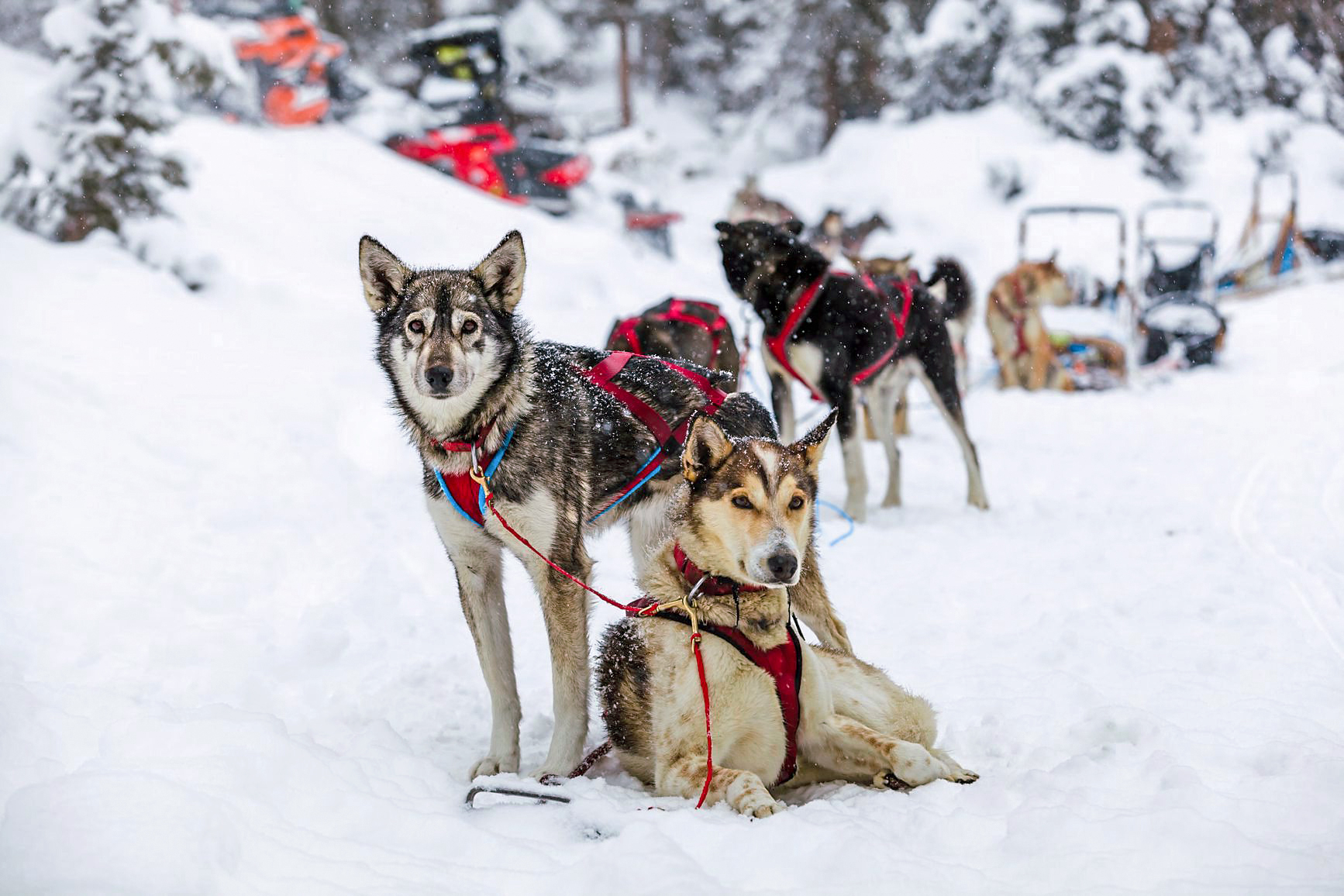 This Cozy Mountain Town Is Winter 2026’s Dream Getaway