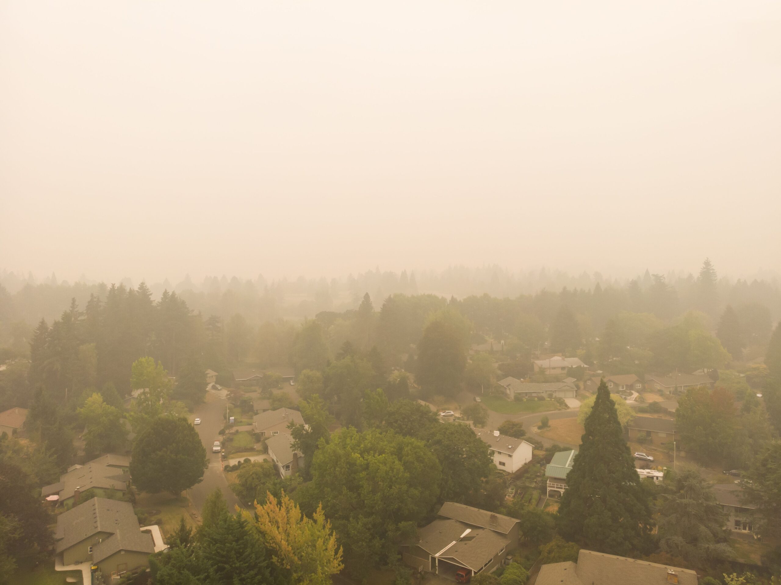 <![CDATA[Wildfire Smoke Exposure Associated With Decreased Asthma Control in Pediatric Patients]]>